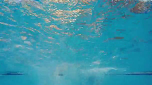 The movements of four legs in the water form bubbles in the pool — Stock Video