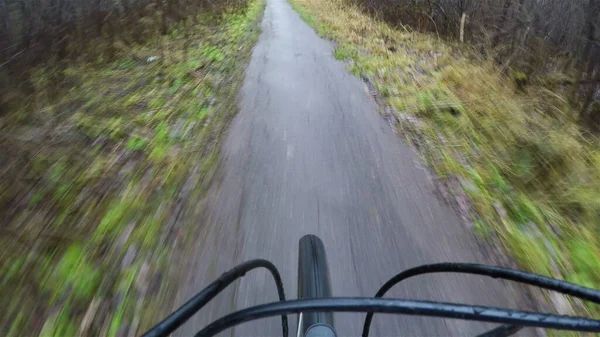 Bir bisikletçi orman yolunda hızla gidiyor.