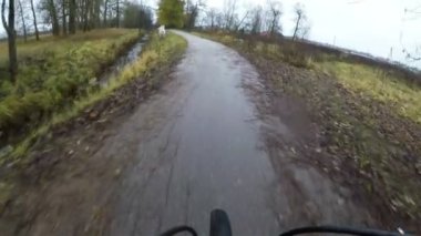 Beyaz atlar geçen bir bisikletçiden kaçıyor.