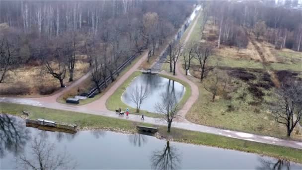 Люди гуляют с собаками в парке возле озера — стоковое видео