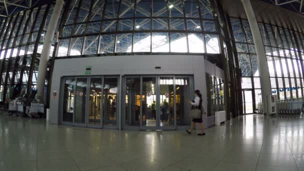 Bejövő ellenőrzési és átvilágítási terület a szocsi repülőtéren — Stock videók