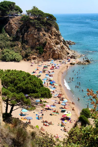 Bahía de playa de verano Calella —  Fotos de Stock