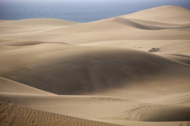 Maspalomas çöl ocean dunes