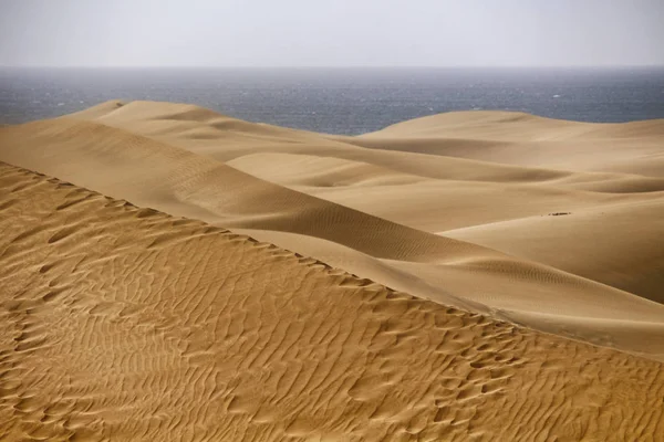 Maspalomas duinen in Gran Canaria met de Saharawoestijn en de Atlantische Oceaan op de achtergrond — Stockfoto