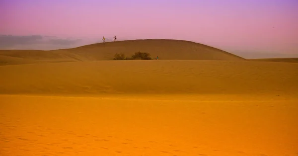 Dunas del desierto al anochecer — Foto de Stock