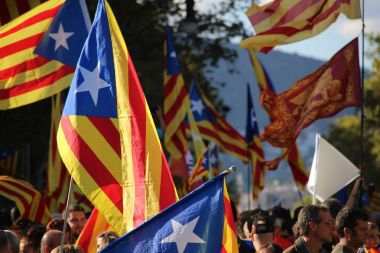 Katalan independentist bayrakları