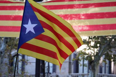 Katalan independentist bayrakları