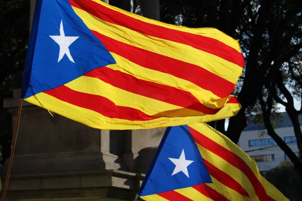 Katalan independentist bayrakları