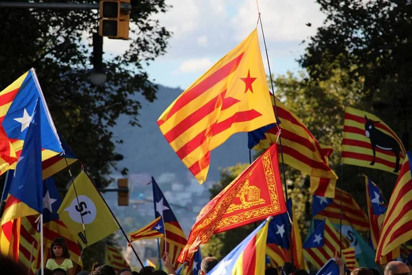 Drapeaux indépendants catalans — Photo