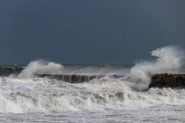 Gloria Storm Barcelona İspanya