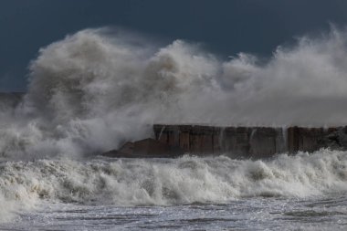 Gloria Storm Barcelona İspanya