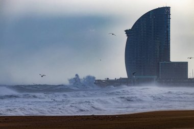 Gloria Storm Barcelona İspanya