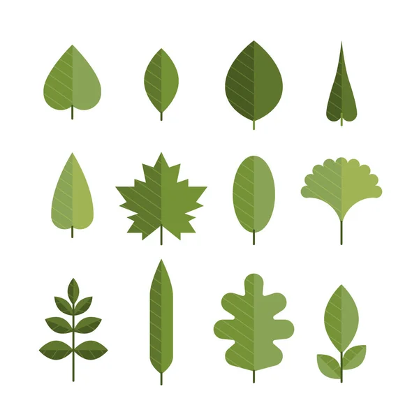 Set aus verschiedenen flachen grünen Blättern. — Stockvektor