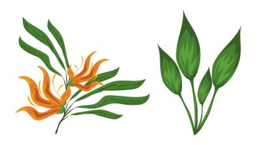 Orman yaprakları ve çiçekler 