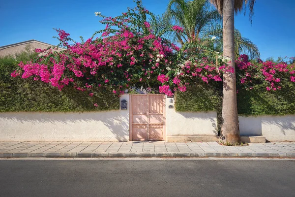 Villa\'s gates with green flowers on the fence