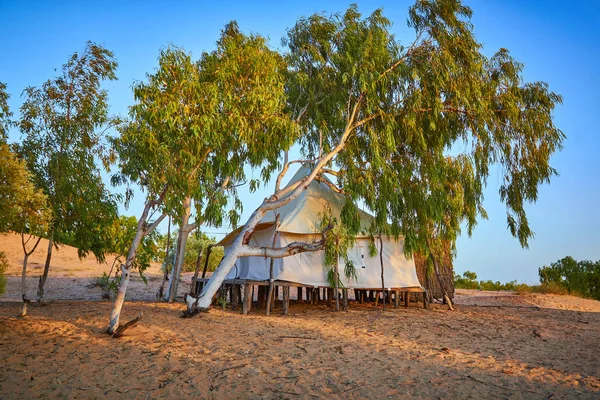 Large tent under the green trees in the african desert