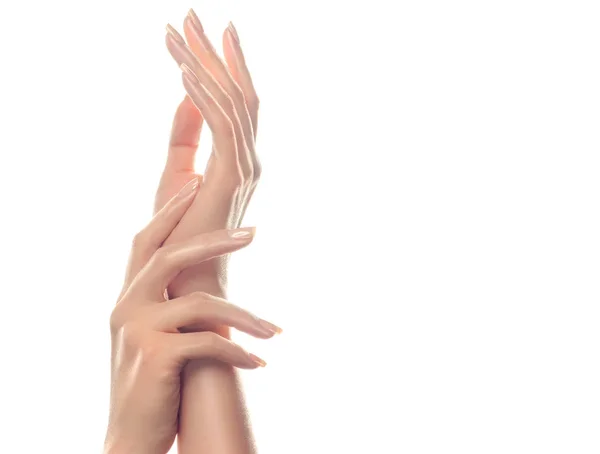 Красиві жіночі руки зі світлим манікюром — стокове фото