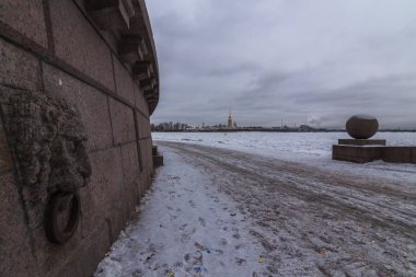 Kışın Vasilyevsky adasının tükürük