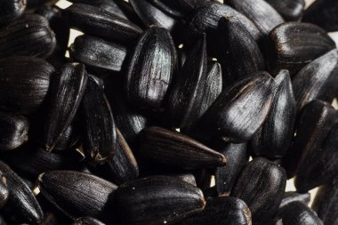 ayçiçeği tohumu taneleri