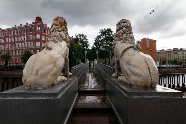 Aslan'ın Bridge St Petersburg bir yağmurlu gün — Stok fotoğraf