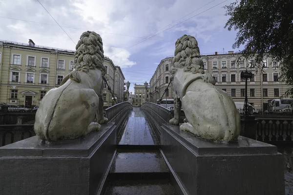 Aslan'ın Bridge St Petersburg — Stok fotoğraf
