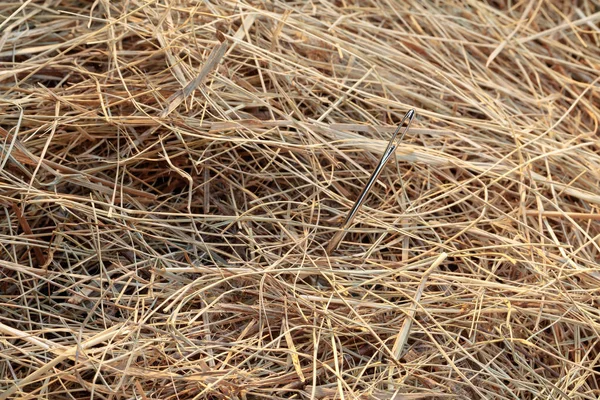 Needle Haystack Needle Haystack — Stock Photo, Image