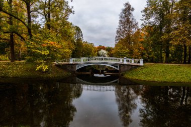 Tsarskoye Selo sonbahar / beyaz Köprüsü, St. Selo, Rusya Federasyonu