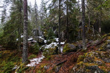 Karelya ormanda / orman mermer Kanyon Ruskeala, Karelya, Rusya
