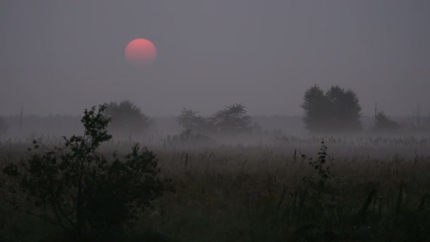 De rook van de ochtend op de prachtige zonsopgang — Stockvideo