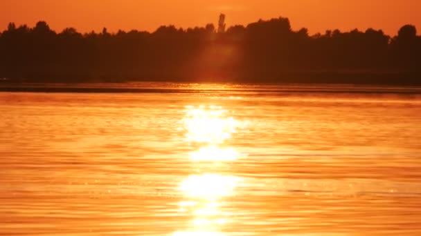 Morgon solen speglar i det klara vattnet — Stockvideo