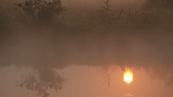 El humo de la mañana al amanecer hermoso — Vídeos de Stock