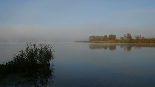 Zonnige dag op de Buetiful rivier — Stockvideo