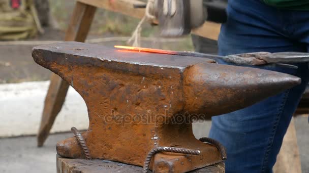 Blacksmith Working on Metal on Anvil — Stock Video