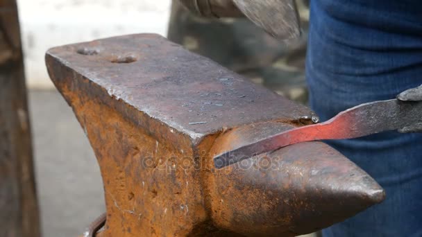 铁匠在铁砧上的金属工作 — 图库视频影像