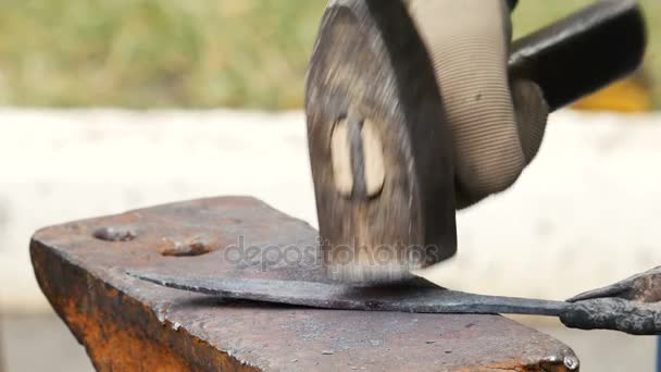 Kovářské práce na kov na kovadlinu — Stock video