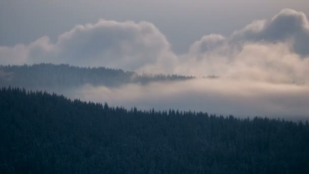 Хронология тумана и облаков в горах — стоковое видео