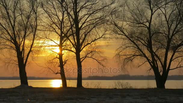 Colour Sunset Over de bomen en de rivier met zon en oranje wolken — Stockvideo