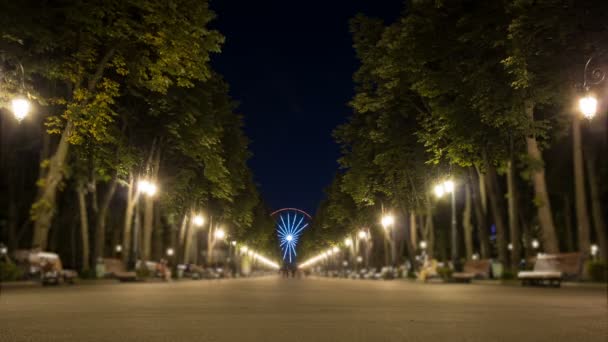 Люди гуляют по ночному парку — стоковое видео