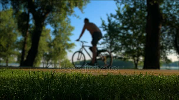 Park on a sunny day with bike crossing — Stock Video