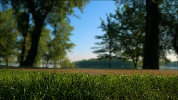 Sport People at Morning Park. Vélo, marche et course . — Video