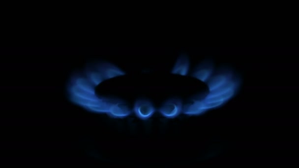 Blue Gas Flame at Stove — Stock Video