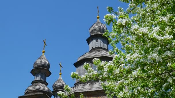 Стара дерев'яна архітектура зверху в сонячний день — стокове відео