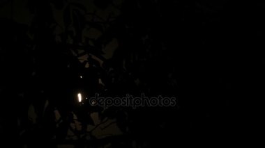 Dolunay bulut siyah gece hareket arkasında