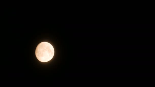 Luna piena dietro nube in movimento alla Notte Nera — Video Stock