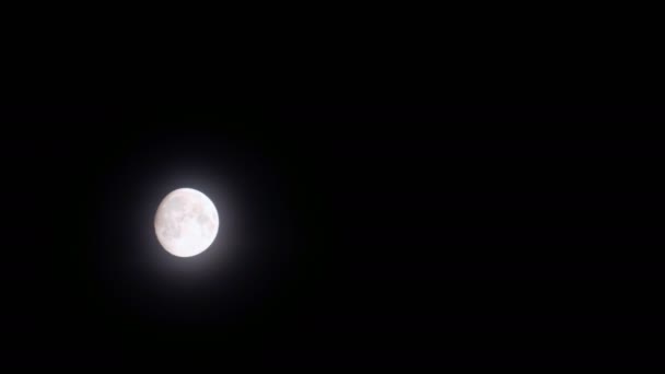 Полная луна за движущимся облаком в Черную ночь — стоковое видео