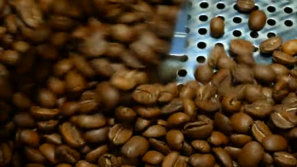 Granos de café en el molino. Café fresco En la máquina profesional de café. Aroma, fondo . — Vídeos de Stock