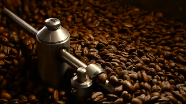 Granos de café en el molino. Café fresco En la máquina profesional de café. Aroma, fondo . — Vídeo de stock