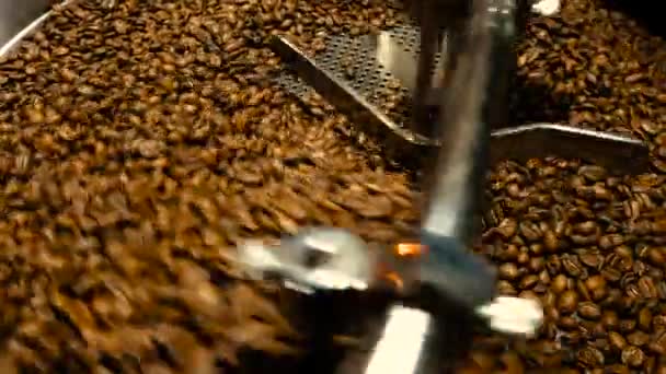 Kaffe bönor i kvarnen. Nybryggt kaffe i professionell kaffemaskin. Arom, bakgrund. — Stockvideo