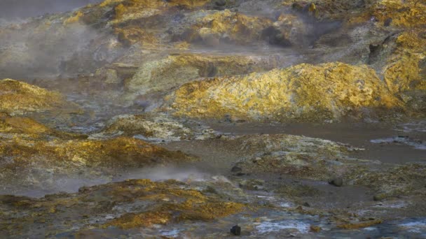 Geotermální aktivita, Horká pára vyvěrá ze země, Island, marťanská krajina — Stock video