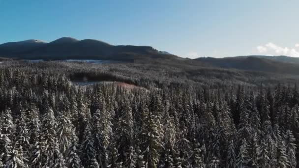 Зимовий сезон засніжений гірський ліс повітряний постріл — стокове відео